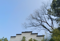 望仙谷風(fēng)光系列